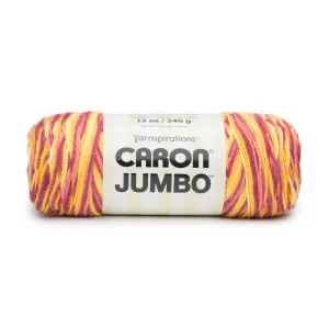 Caron Jumbo Yarn - Discontinued