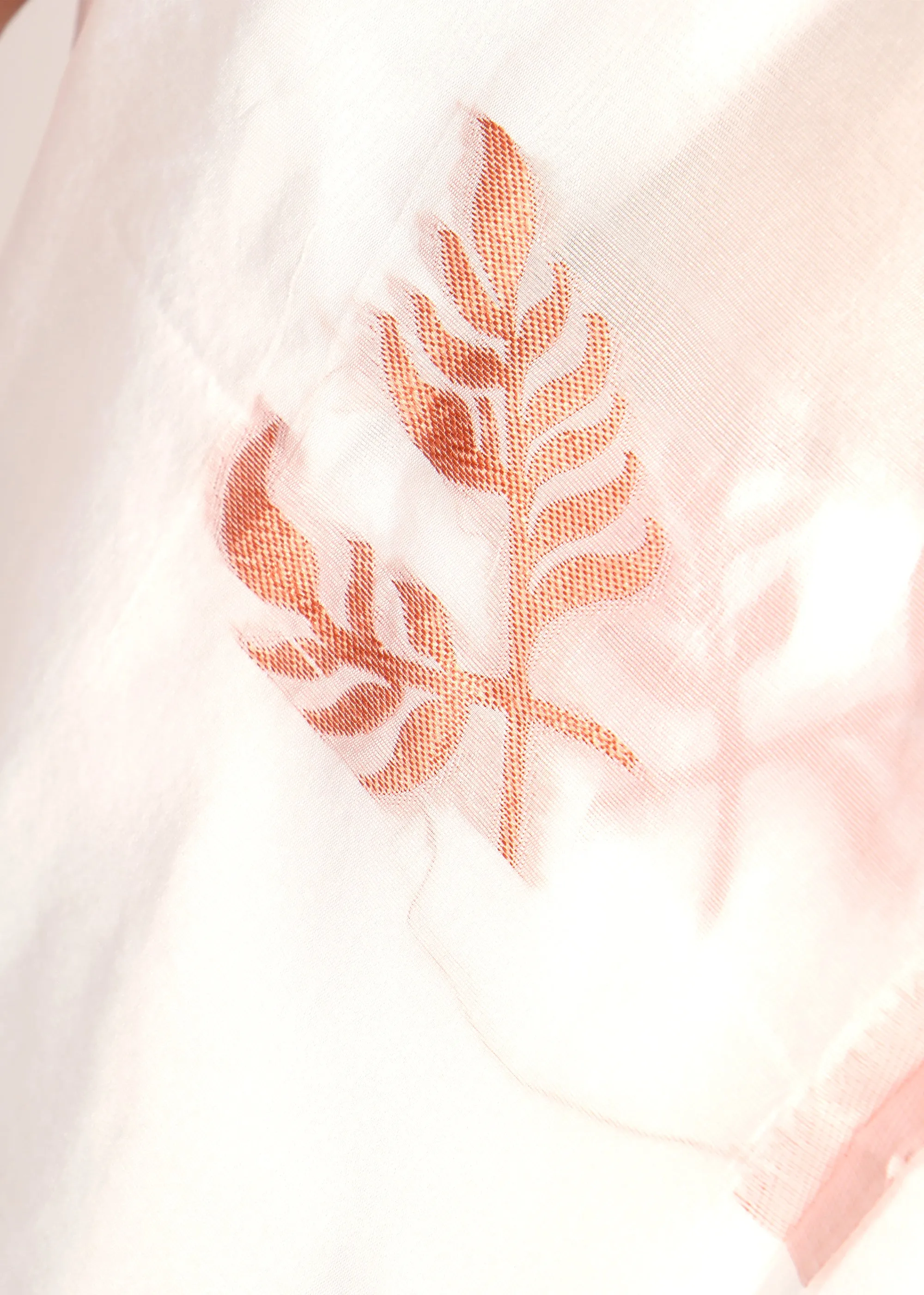 Ethereal Zari Motif Silk Saree