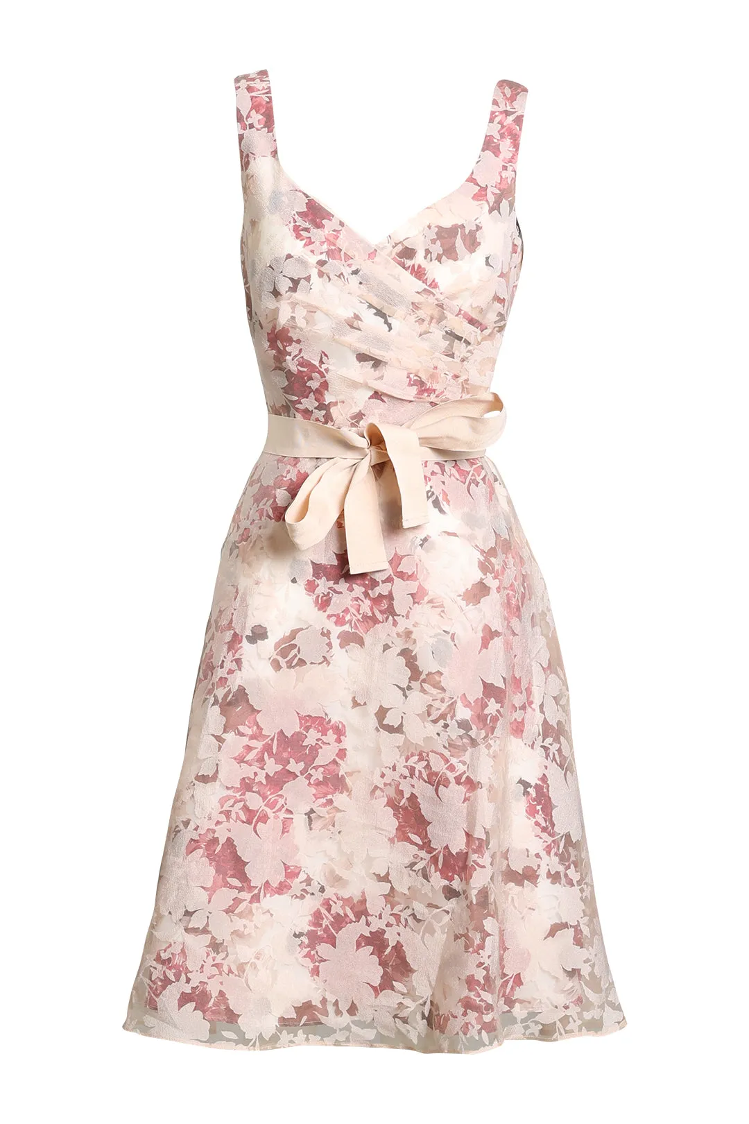 Fit and Flare Blush Floral Dress