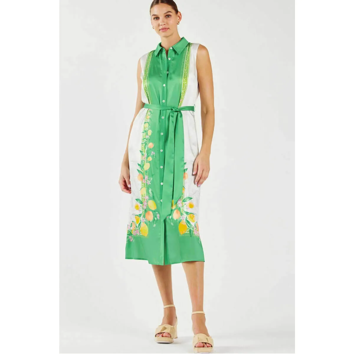 Lemon Garden Print Button Down Shirt Dress