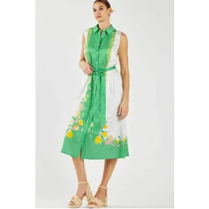 Lemon Garden Print Button Down Shirt Dress