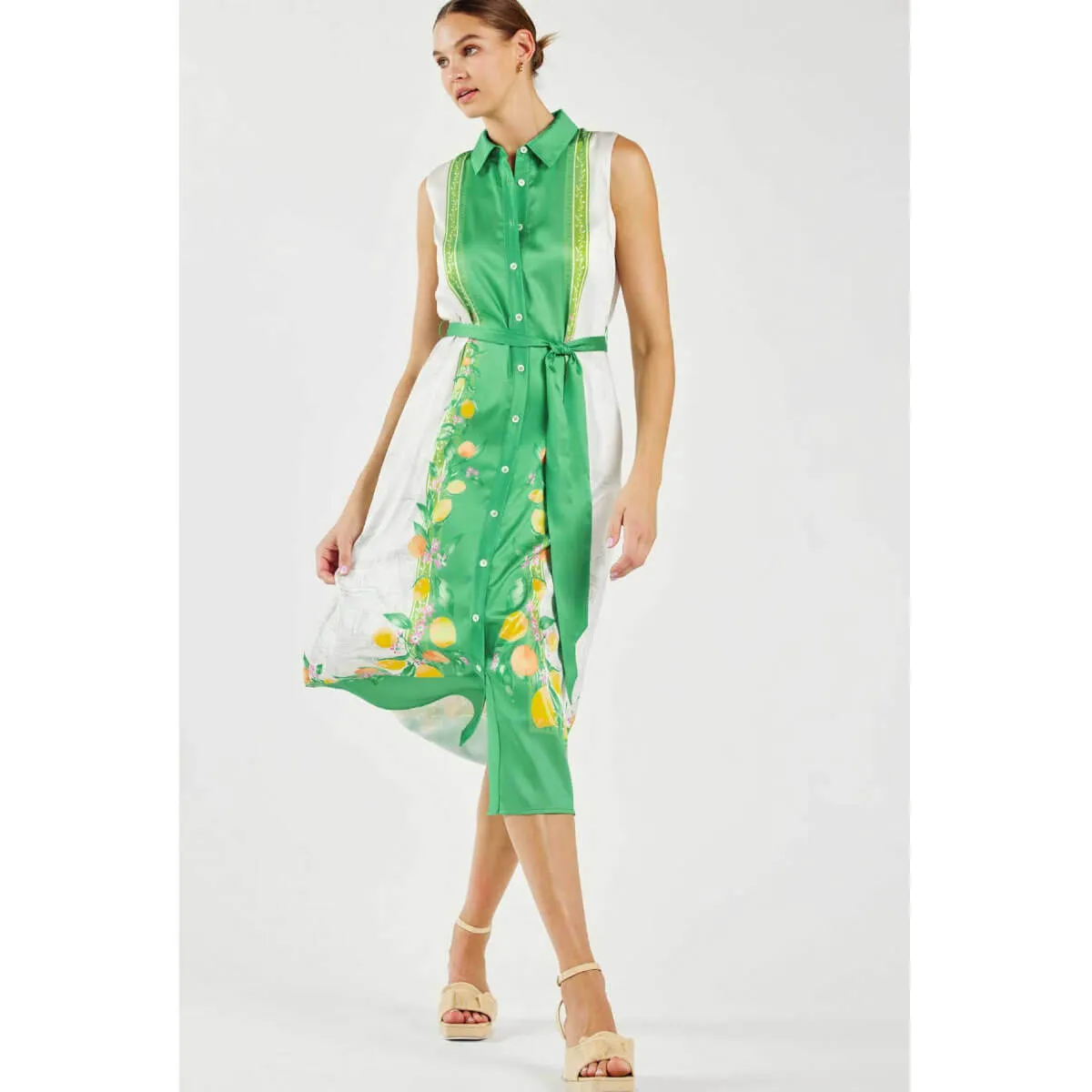 Lemon Garden Print Button Down Shirt Dress