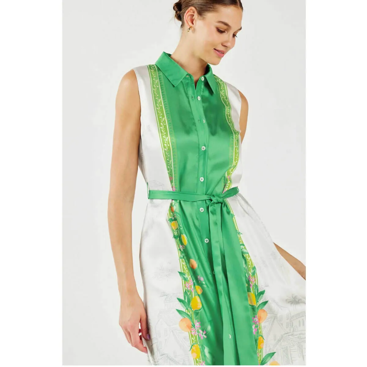 Lemon Garden Print Button Down Shirt Dress