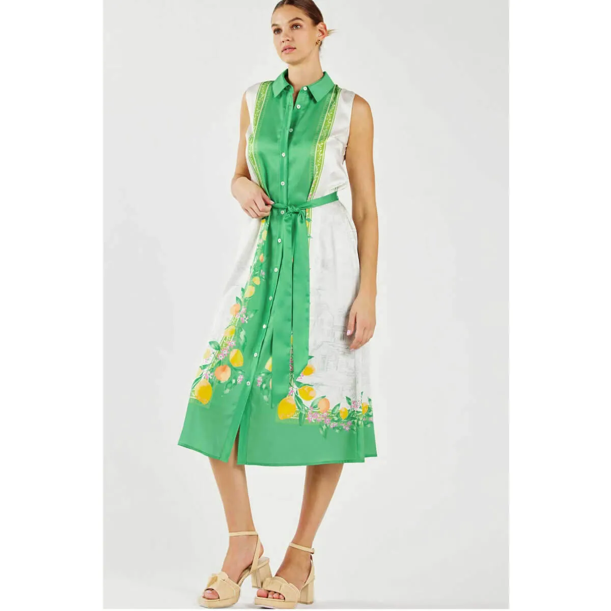 Lemon Garden Print Button Down Shirt Dress