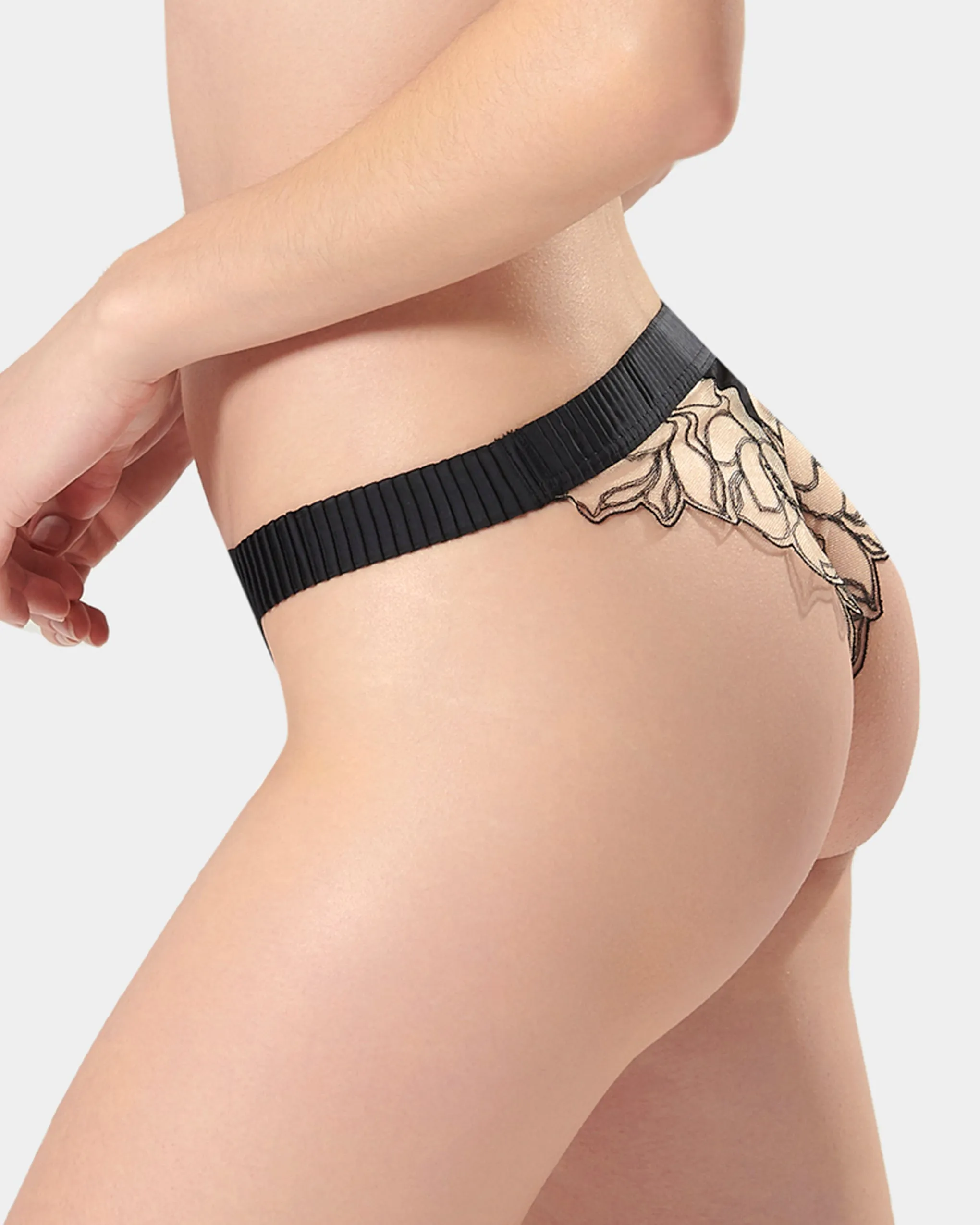 Maia Brief Black/Sheer