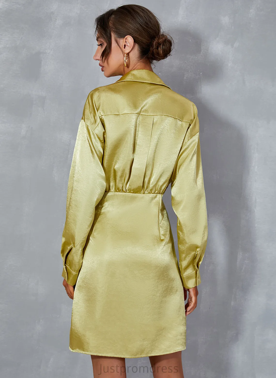 Mini Club Dresses V-Neck Phoenix Dresses A-line Long Casual Polyester Sleeves