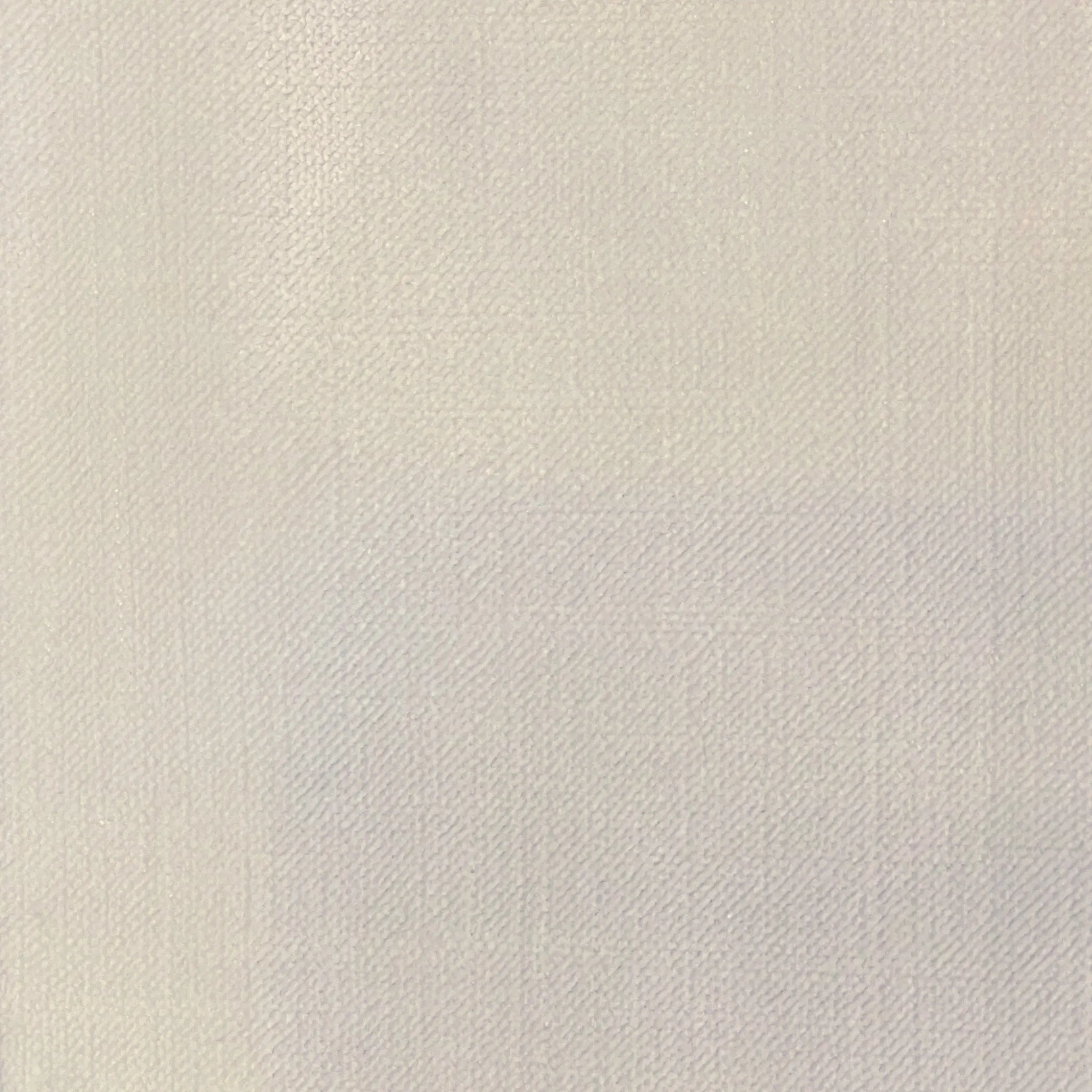Modern Velvet Coverlet