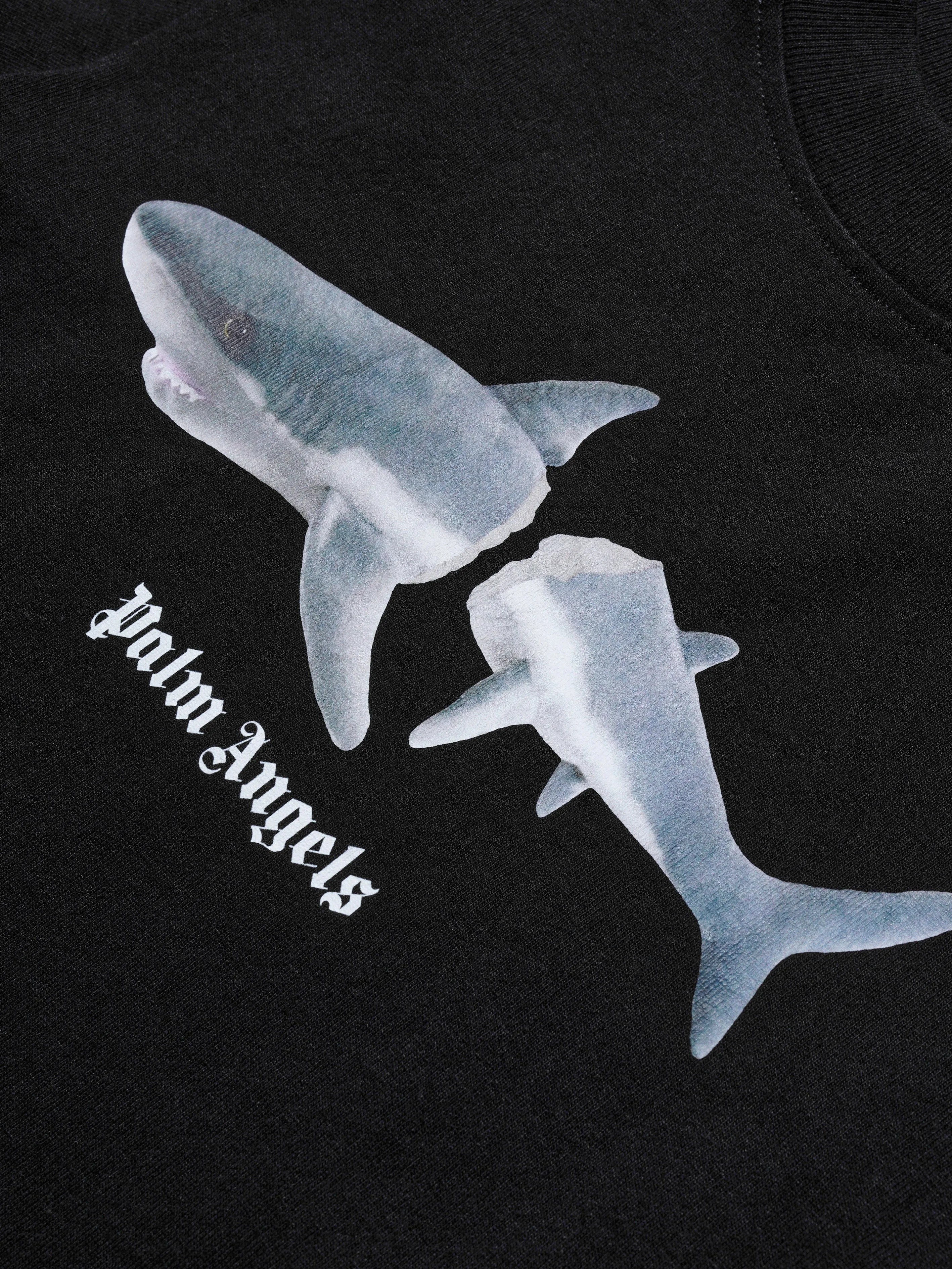 Palm Angels Boys Shark T-Shirt in Black
