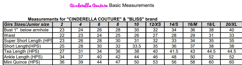 Shinny Metallic Short Party Dress by Cinderella Couture USA AS8014J-ROSEGOLD