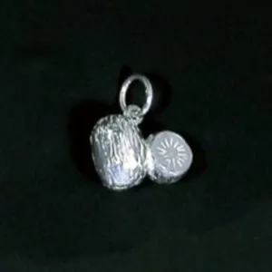 Sterling Silver Kiwifruit Charm