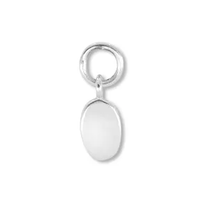 Toggle Silver Charm